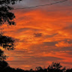 Meet your Posher, Alaina